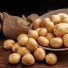 Jan Mohammadlou agricultural complex, production and propagation of potato seeds in Hamadan Darghazin