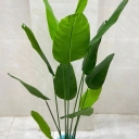 Fars Gol Sharaft, wholesale and retail distribution of artificial flowers and grass in Shiraz