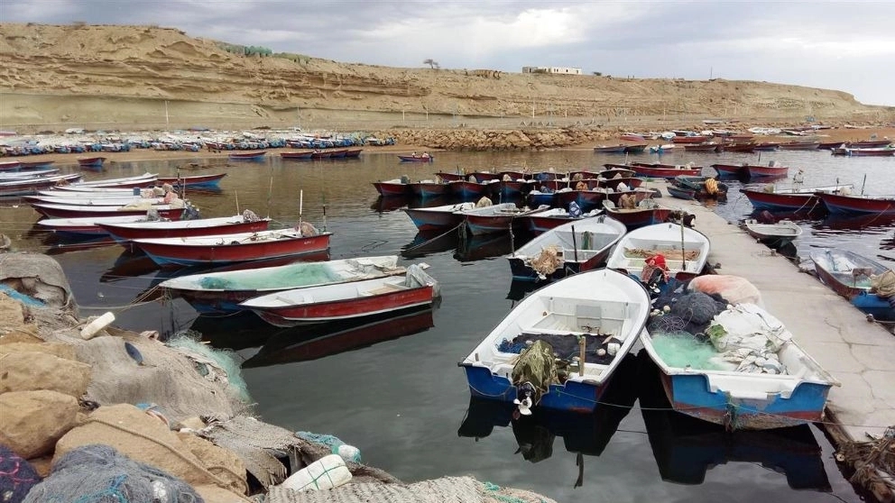 ما هو القارب أو السفينة السياحية؟