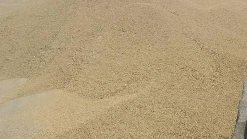 What is animal feed?