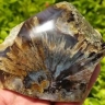 Shajar Gallery of Khorasan desert, sale of agate gemstones in Sarayan, South Khorasan