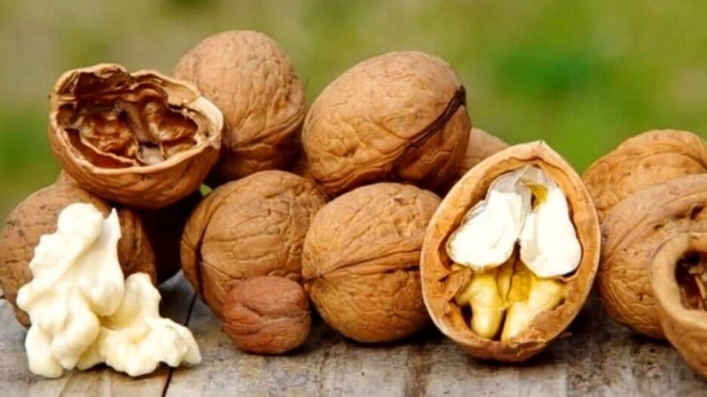 What are the properties of walnuts?