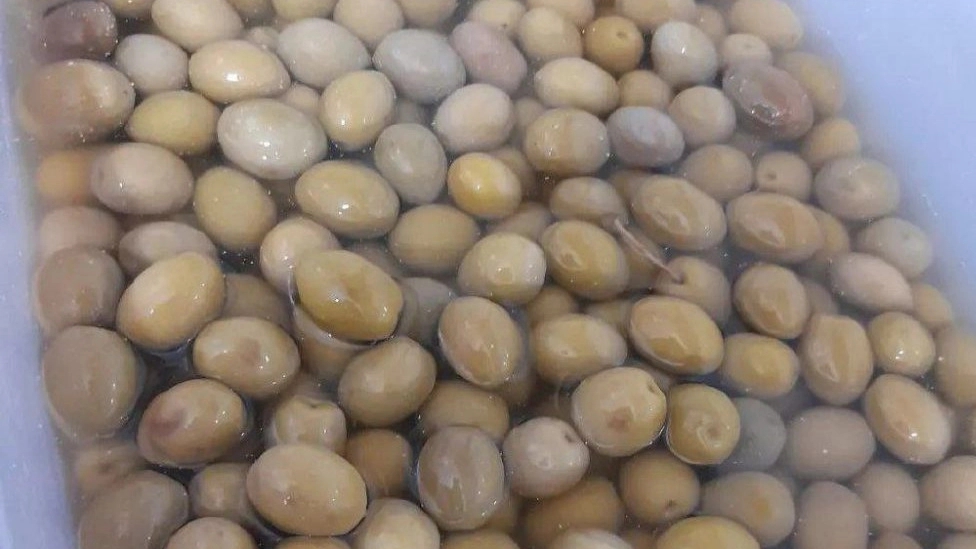 Getting to know the most important properties of olives