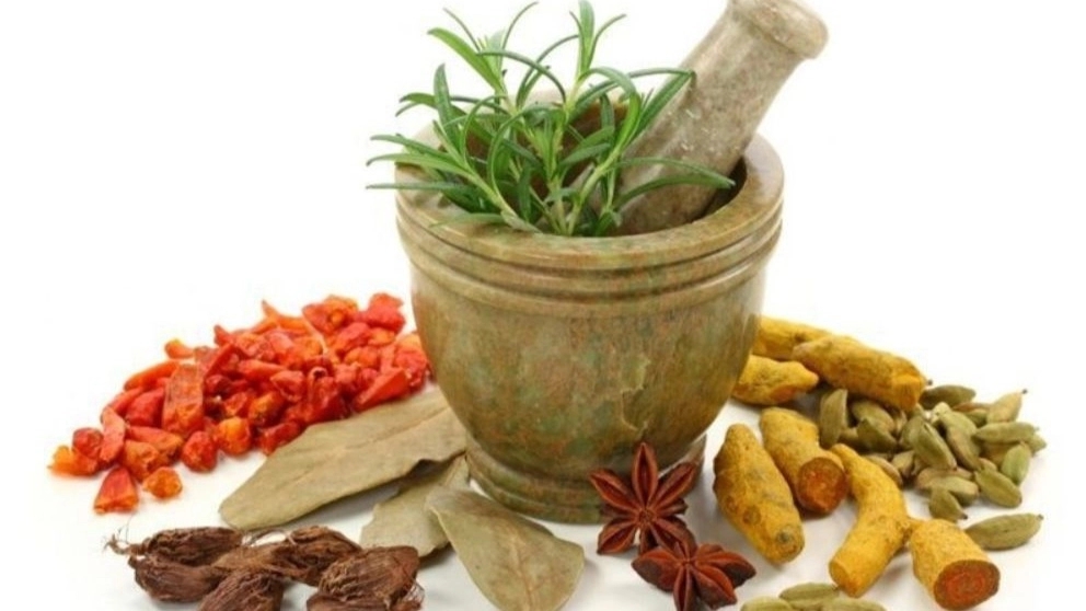 Sina Trading, wholesale sale and export of medicinal plants in Kurd city