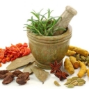 Sina Trading, wholesale sale and export of medicinal plants in Kurd city