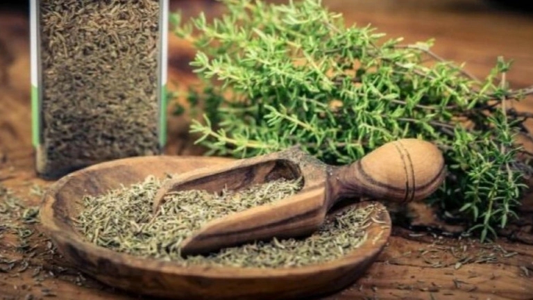 Azari trading, wholesale sale and export of medicinal plants in Shiraz