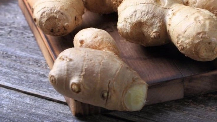 انواع گیاهان دارویی