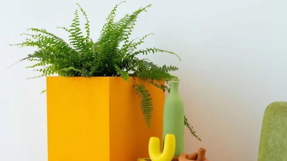 Lufa designers, design and implementation of green spaces in Tehran