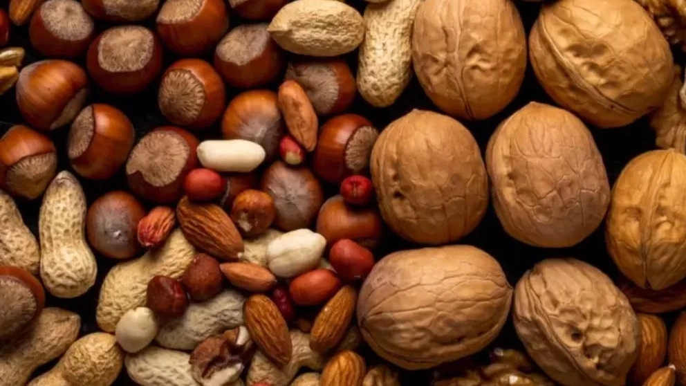 What products does dried fruit contain?