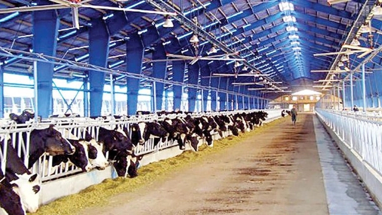 Afarinesh Barash Radman Co., manufactures animal husbandry equipment in Isfahan