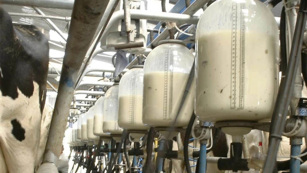 Industrial equipment used in animal husbandry