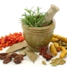 Motahari Trading, wholesale sale and export of medicinal plants in Gachsaran