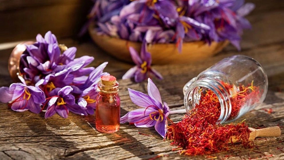 Investigating the properties of saffron