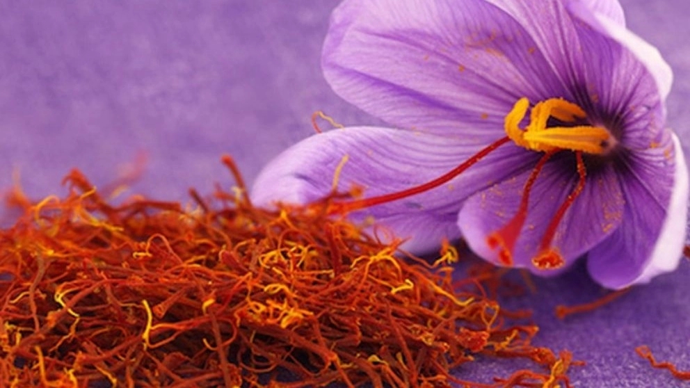 Traditional methods of determining the quality of saffron