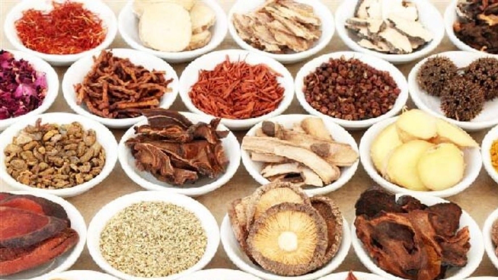 Dilan medicinal plants, wholesale sale and export of medicinal plants in Kurdistan