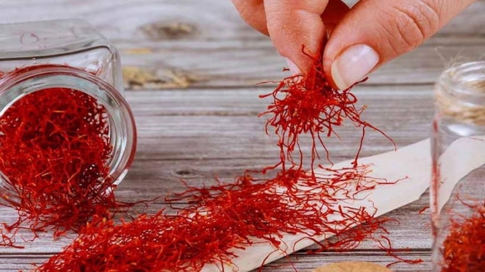 روش‌های سنتی تشخیص کیفیت زعفران