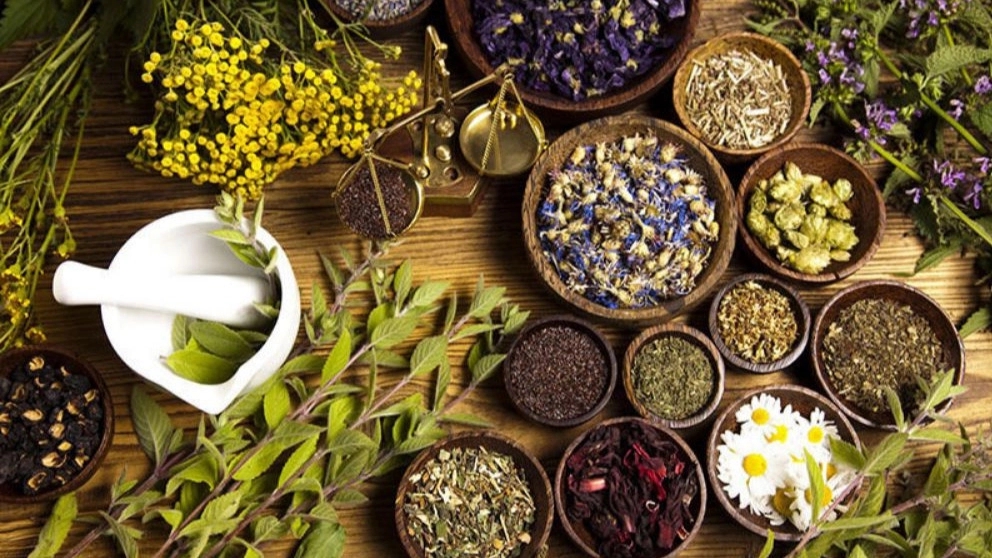 اهمیت گیاهان دارویی در زندگی انسان