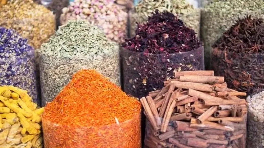 The importance of medicinal plants in human life