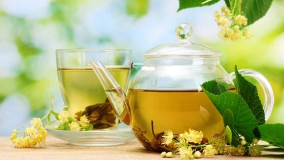 Gol Daru Nasr, wholesale sale and export of tea and medicinal herbs in Razavi Khorasan