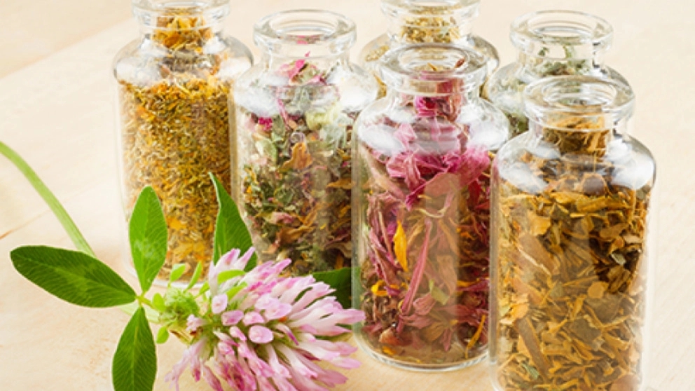 Know the commonly used medicinal plants