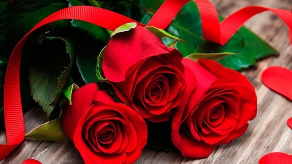 Getting to know the most extraordinary types of roses