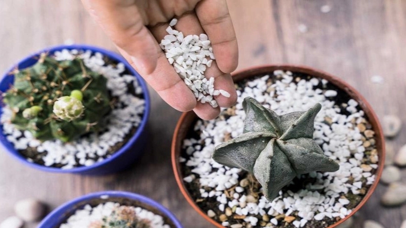 Powish Emerald Mining Company, production of perlite in Urmia