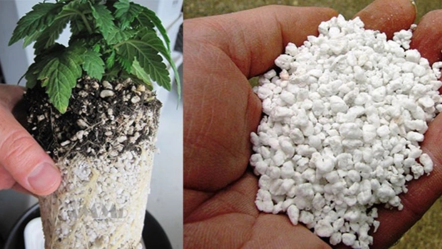 Benefits of using perlite