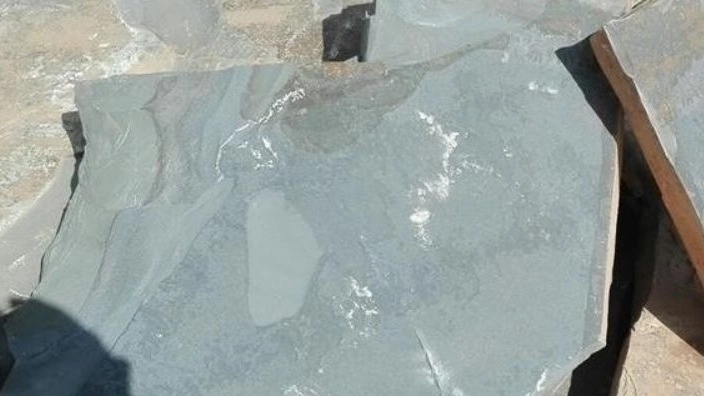 Carcass slab characteristics and its uses