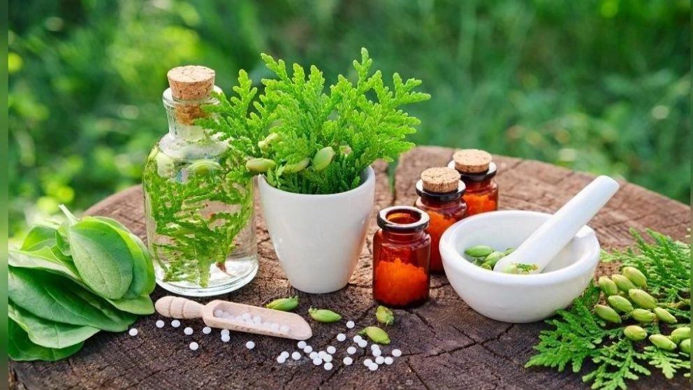 What is traditional medicine?