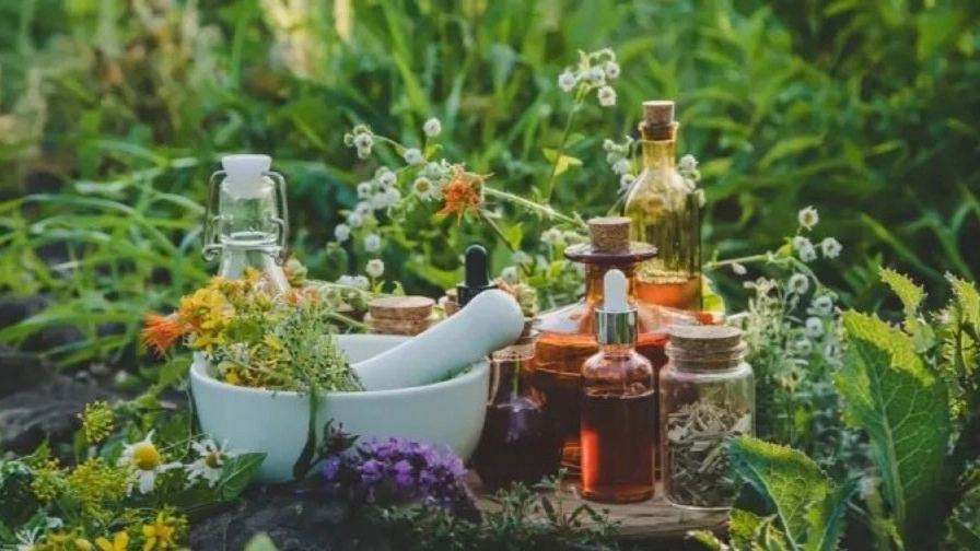 The main medicinal plants for health