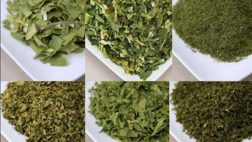Complete introduction of dried vegetables along with their uses