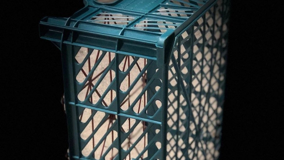 Majid Plastic Shandi Industrial Group, production of all kinds of plastic fruit baskets in Tabriz