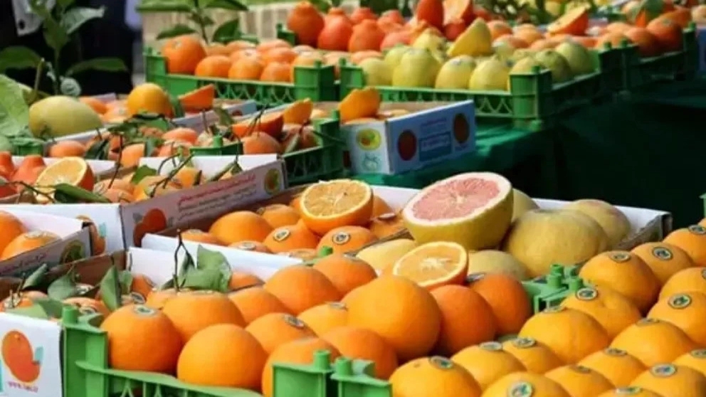 Plastic fruit basket