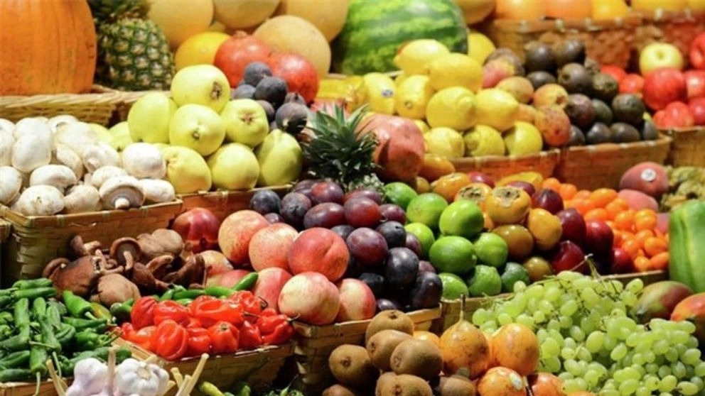 Bibi Fruit, fruit and vegetable export in Sari