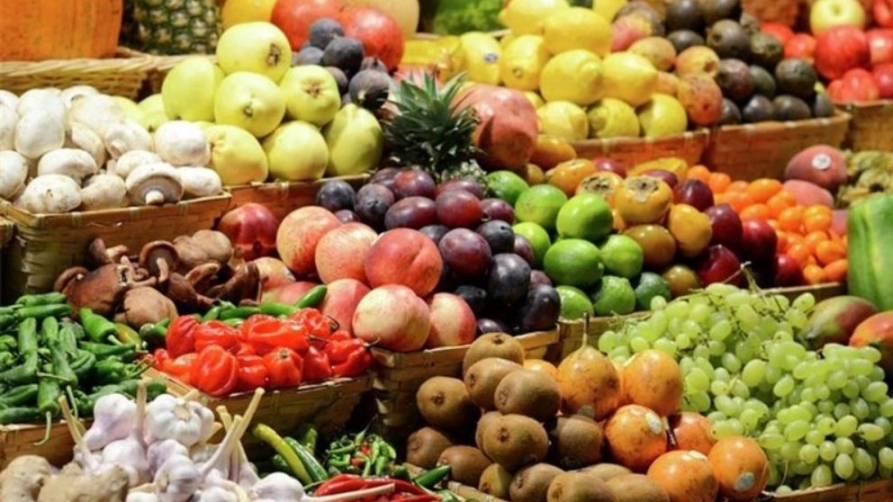 نکات مهم بسته بندی میوه های صادراتی