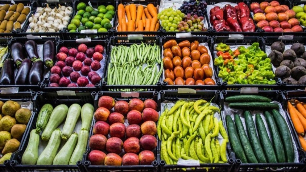 To which countries does Iran export fruit?