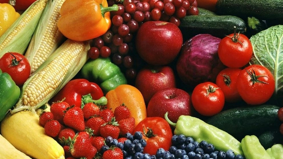What should we pay attention to for fruit export?