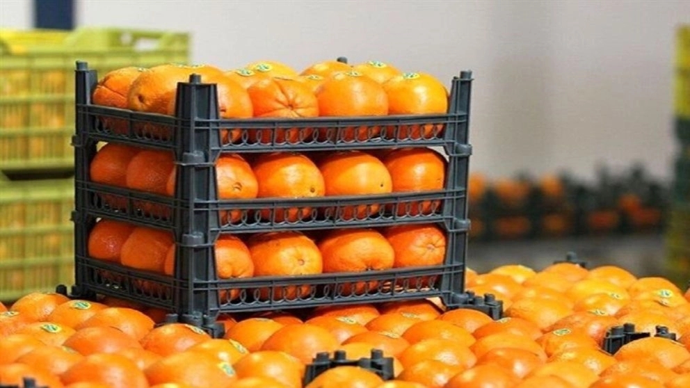 The best export fruit