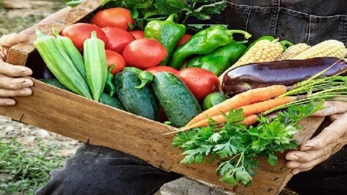 Nazari fruits and vegetables, supplier and sorting of agricultural products in Karaj