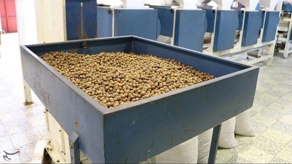 Hazelnut processing methods