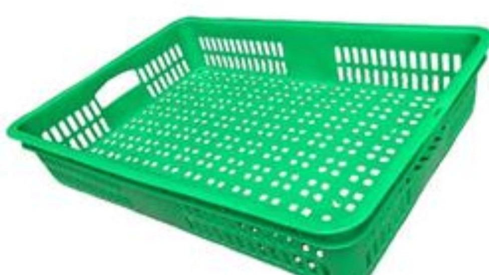 Rezaei Plast Basket, production and sale of all kinds of plastic baskets in West Azarbaijan