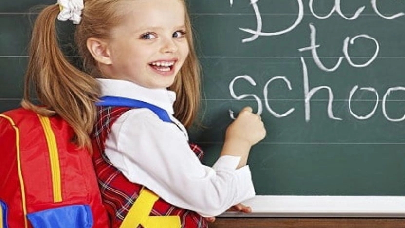 What are non-governmental or non-profit schools?
