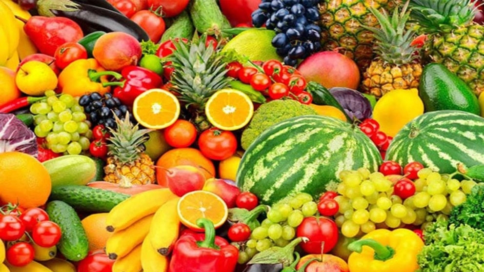 Behesht South Company, sale and export of all kinds of fruits and summer foods in Hormozgan