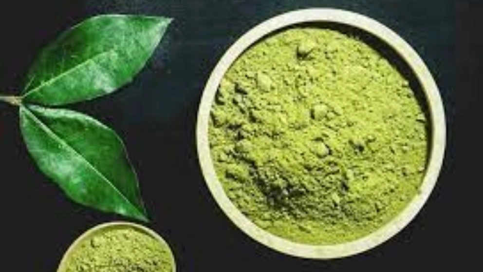 Azim Pour store, wholesale sale and export of green and black henna in Yazd