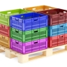 Plastic oysters, production and sale of fruit baskets in East Azerbaijan