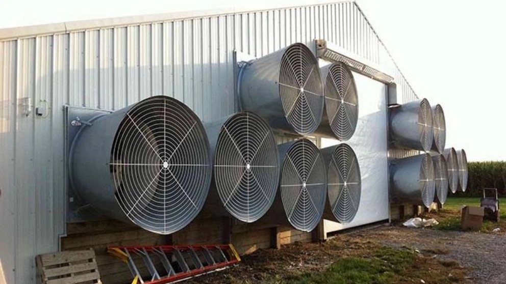Ventilation systems in natural poultry house