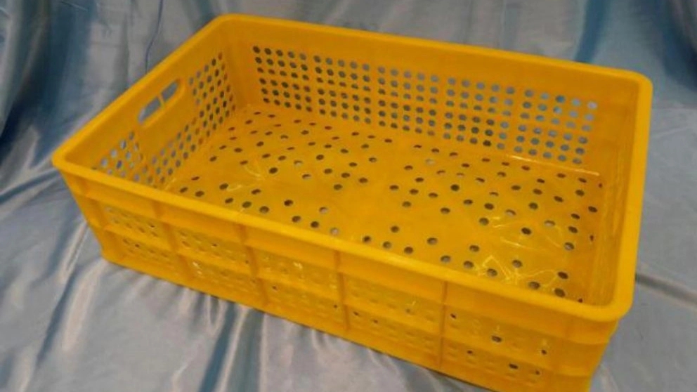 ASEAN Plus Mehr, production of unbreakable plastic baskets and date baskets in Azadegan, Tehran