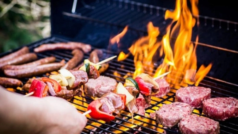 Introduction of different types of grills