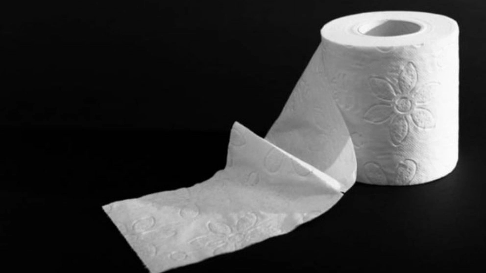 Arshi Plus, production of paper towels in Shahryar