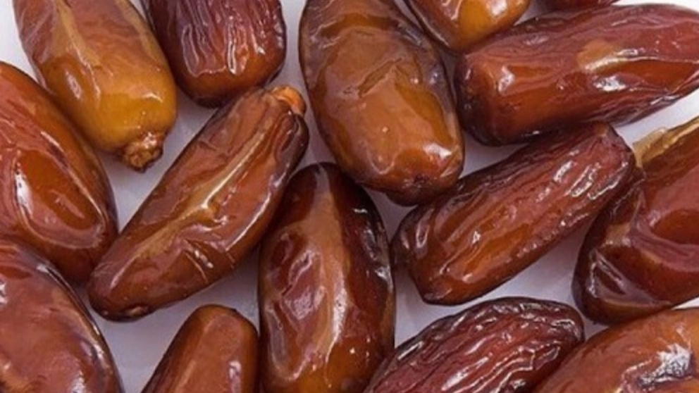 Samar al-Mulk Trading, wholesale sale and export of dates and date derivatives in Khuzestan